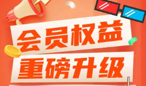 视频VIP一手拿货API对接示意